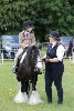 thornton-le-dale-gala showclass7acharity25-5-20187